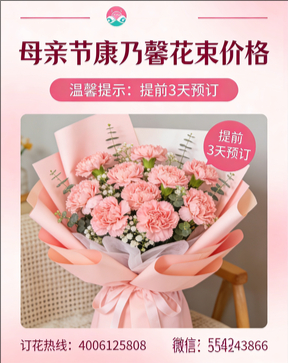 临汾汾西县花店母亲节康乃馨花束
