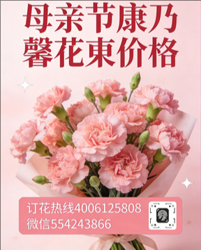 临汾汾西县花店母亲节康乃馨花束